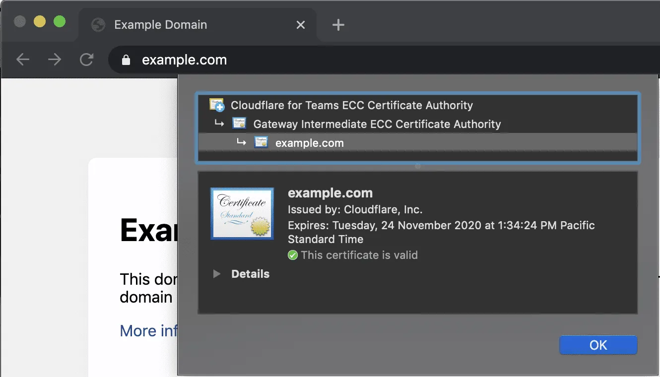 网站出示 Cloudflare 根证书
