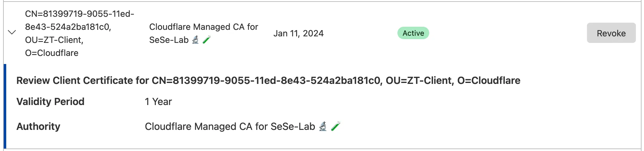 Cloudflare 仪表板中的示例客户端证书