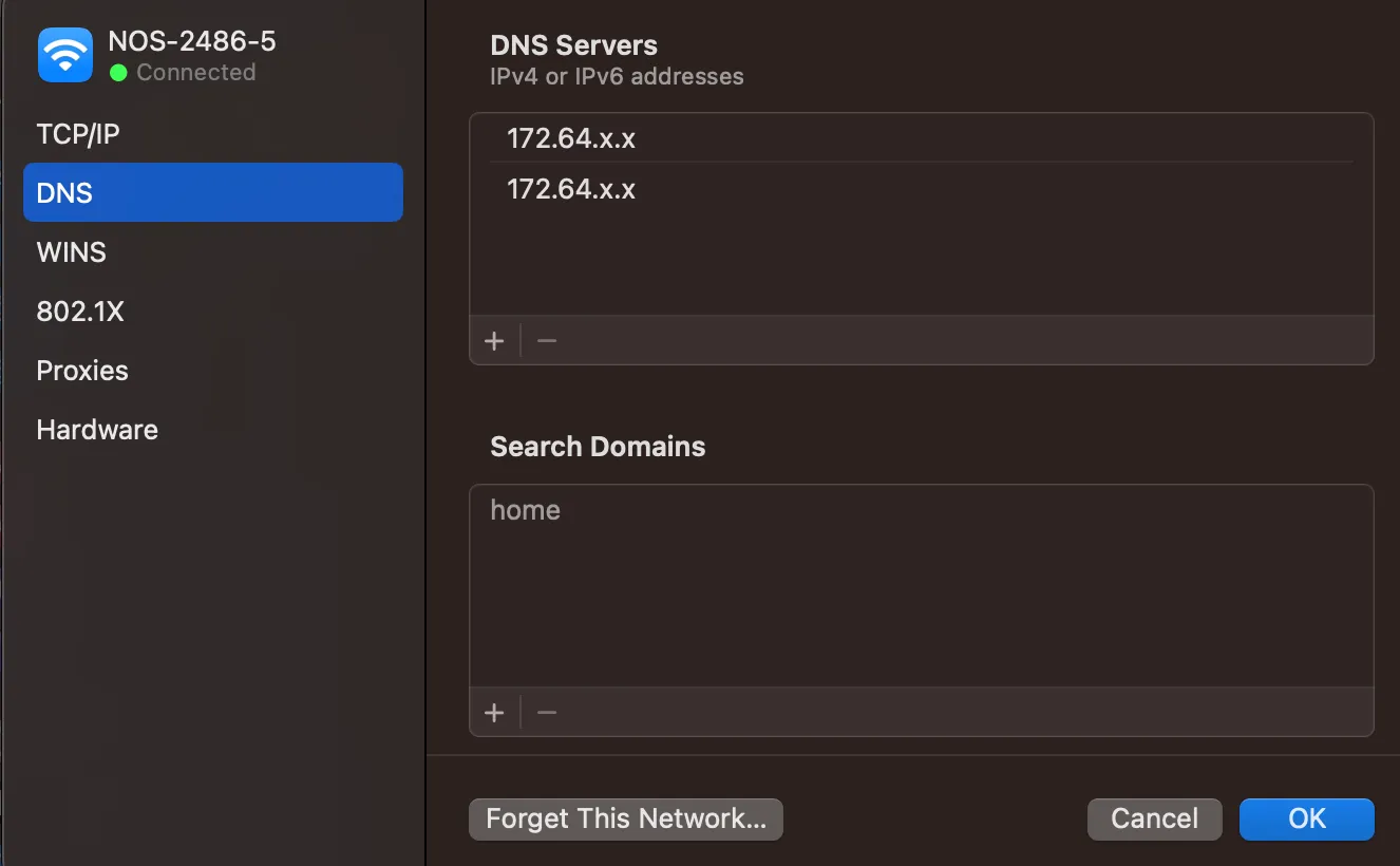 macOS DNS 解析器选项