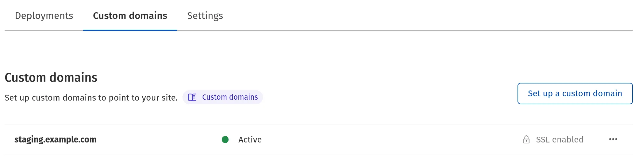 按照以下说明访问 Pages 仪表板中的自定义域名概览。