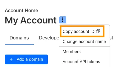 Overview(概览)页面截图,API 部分已高亮
