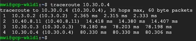 用于验证东西向流量的 Traceroute 示例