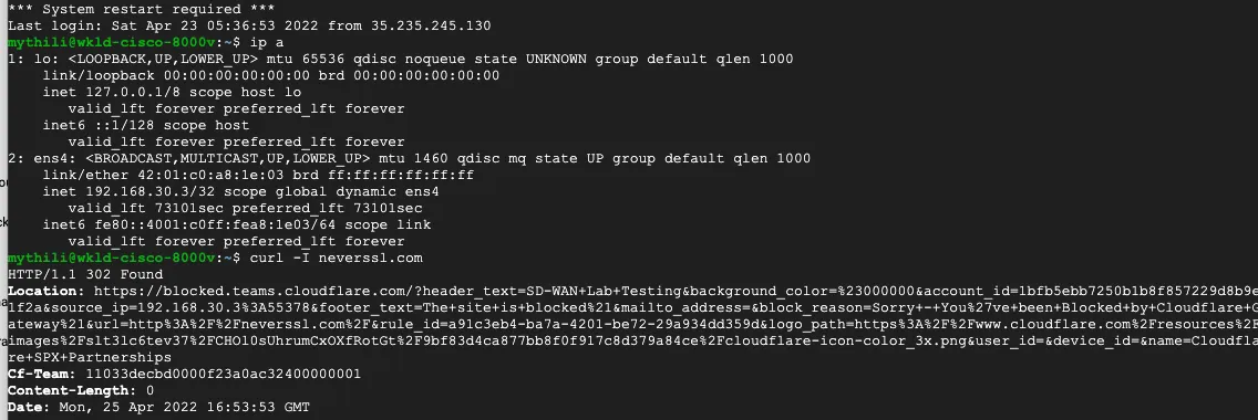 对 neverssl.com 的请求的 cURL 示例